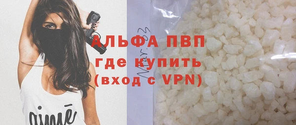 сатива Абинск