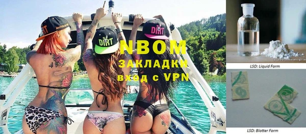 сатива Абинск