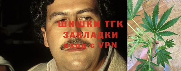 прущий лед Алзамай