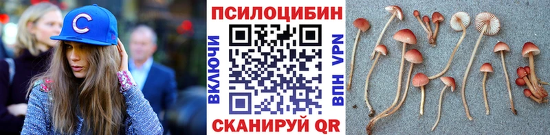 наркота  Ак-Довурак  Галлюциногенные грибы Psilocybe 